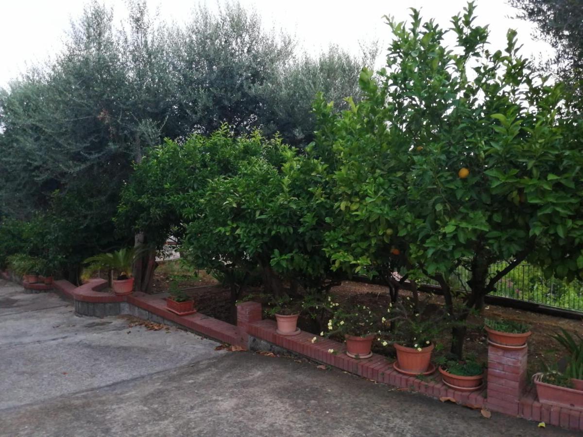 Villa Giannina มัสซาลูเบรนเซ ภายนอก รูปภาพ